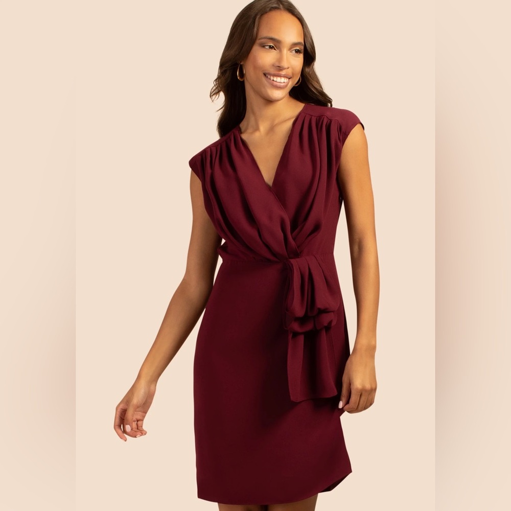 Trina Turk Bijou Dress Vin Size 16 NWT
